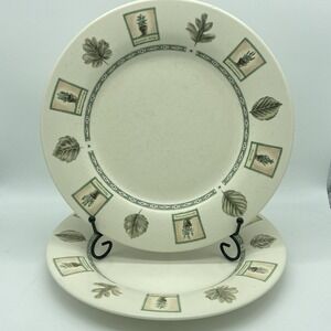 Portfolio Pfaltzgraff Naturewood Dinner Plates 11" Set Of 2 Vintage Stoneware